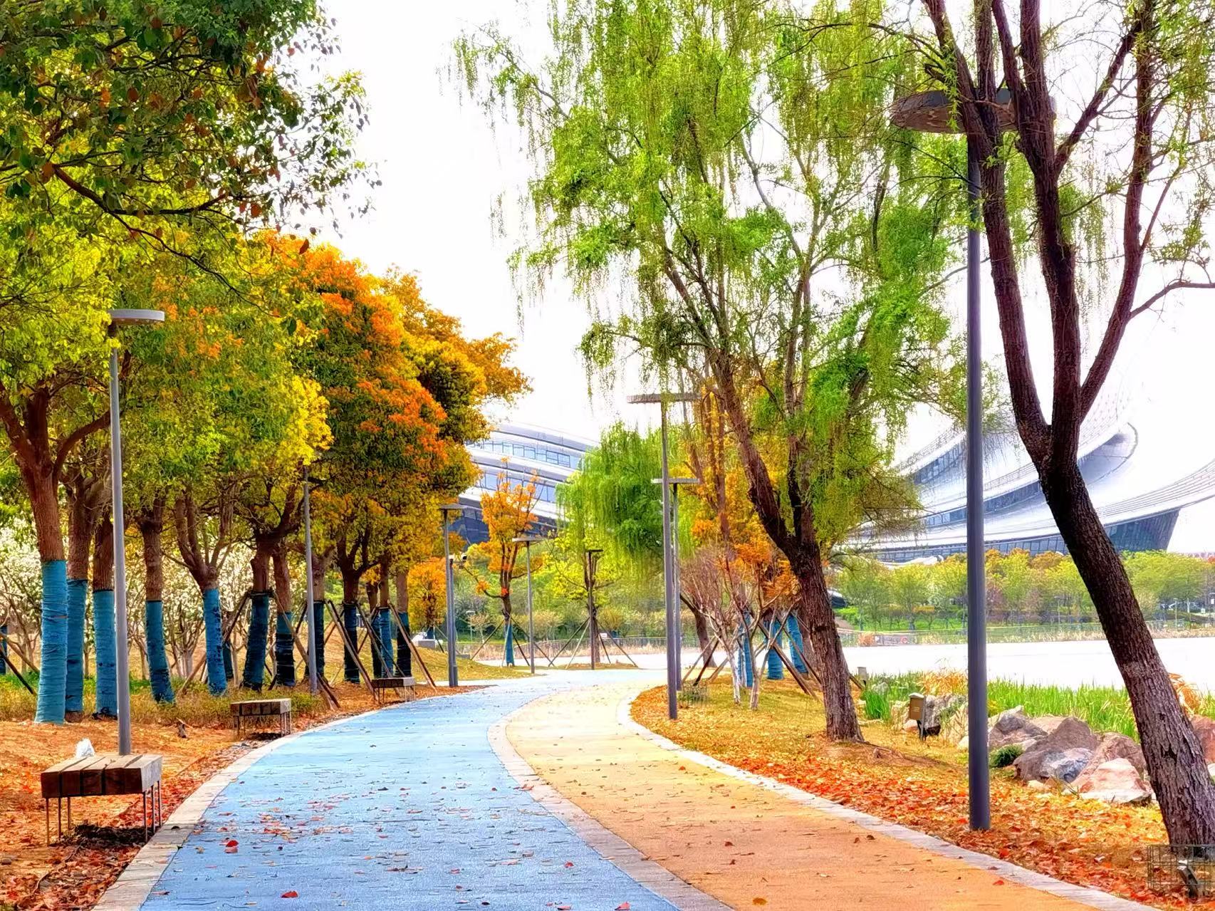 宁静的生活场景